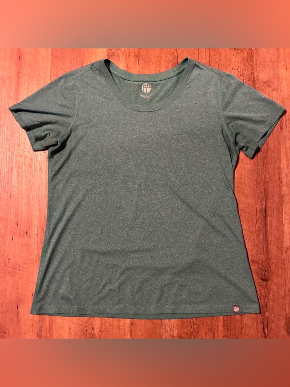 REI Women's Heathered Teal/Green Short Sleeve Tee